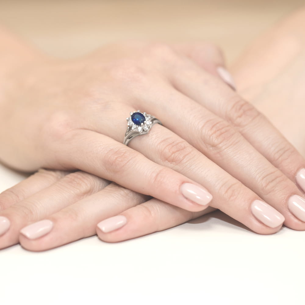 W0037.B3.SAB.01_4 Skrzyżowane szlaki w lesie podczas złotej godziny.